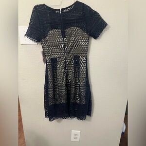 Paper Dolls Navy Lace Dress